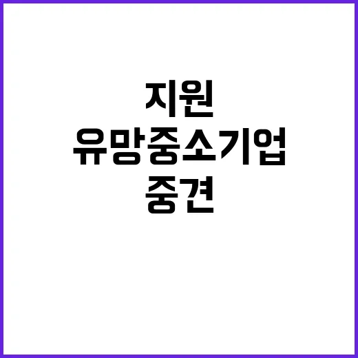 유망 중소기업 지원…