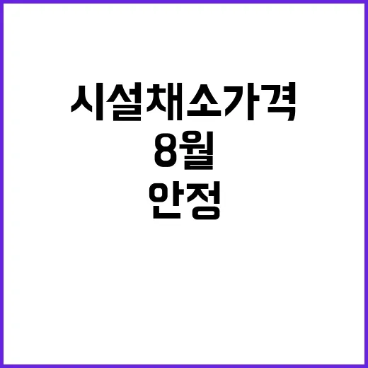 시설채소 가격 8월…