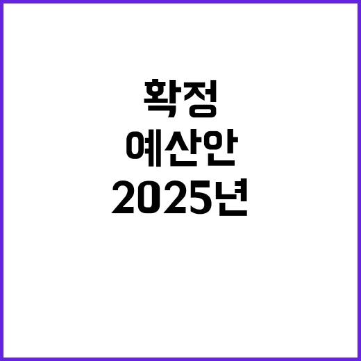 “예산안 총지출 2025년 확정되지 않은 충격적인 사실!”