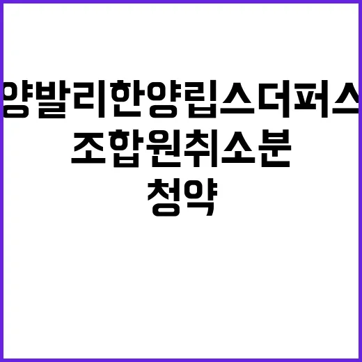 온양발리 한양립스 …