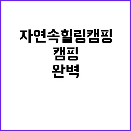 캠핑온유 완벽한 자…