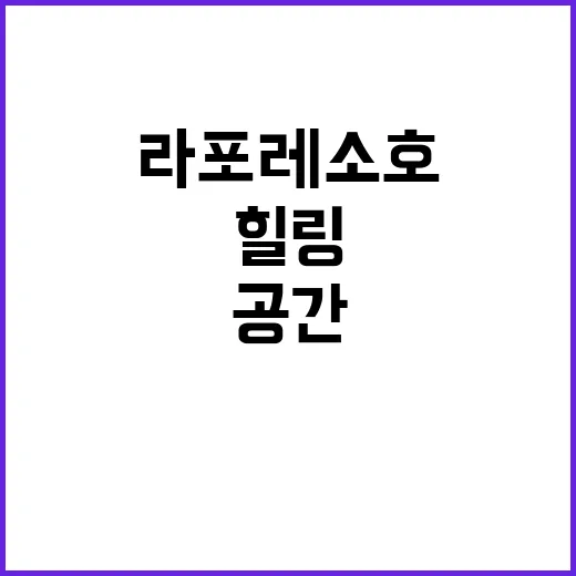 라포레소호 힐링과 …