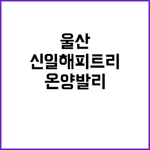 울산 온양발리 신일…