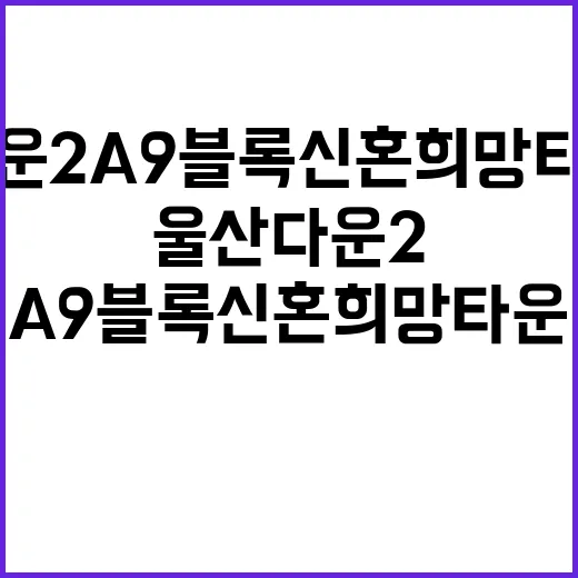 울산다운2 A9블록 신혼희망타운 청약 조건과 혜택은?