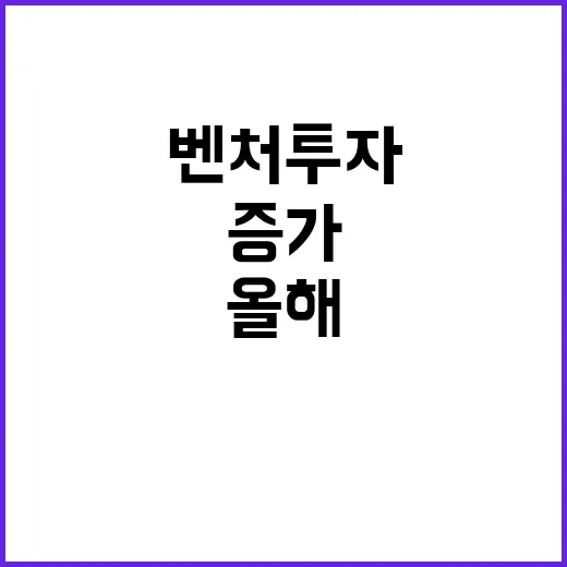 벤처투자 올해 5조…