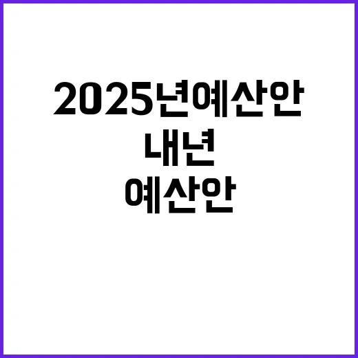 2025년 예산안 내년 국정 방향과 철학 공개!