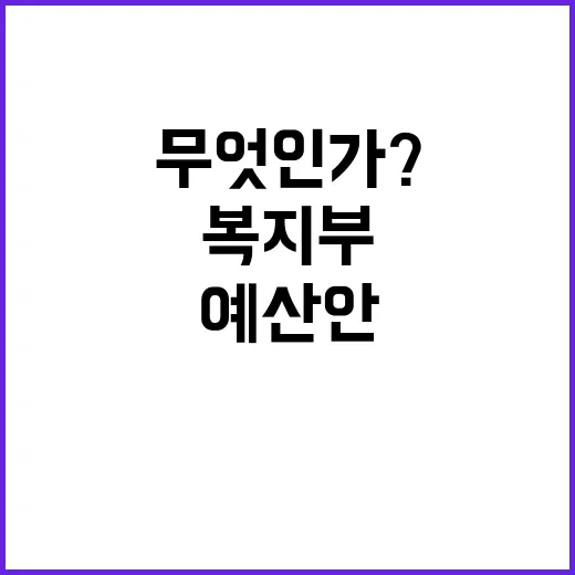 복지부의 예산안 비교 문제점은 무엇인가?