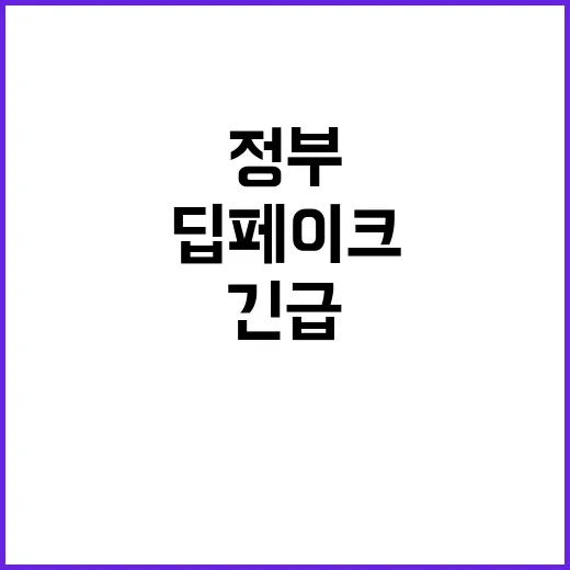 딥페이크 정부 긴급…