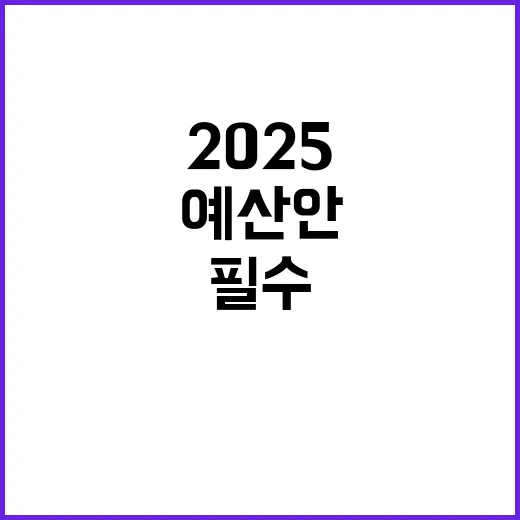 2025 예산안 삶과 미래를 위한 필수 선택!