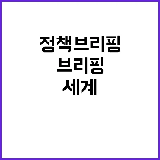 정책브리핑 새로움과…