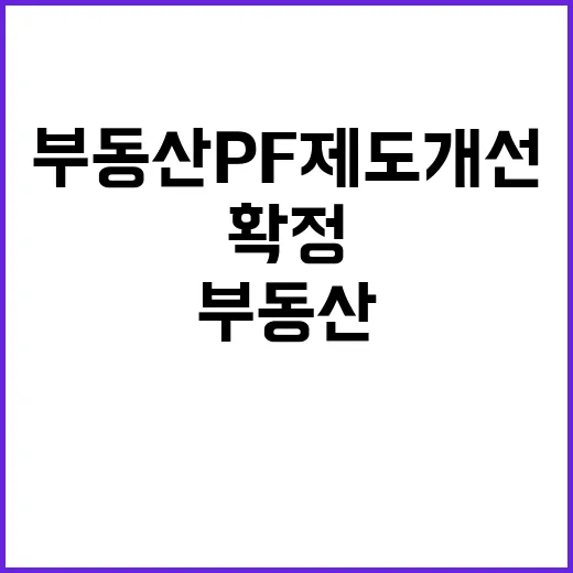 부동산 PF 제도개…