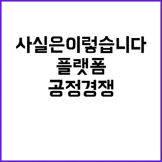 플랫폼 공정경쟁 사…