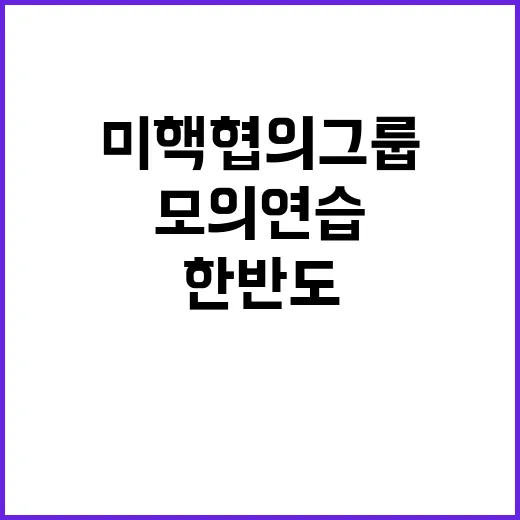 한·미 핵협의그룹 …