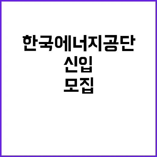 한국에너지공단 정규…