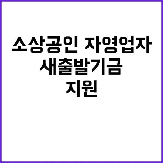 새출발기금 소상공인…