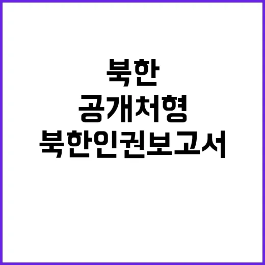 북한 인권보고서 웹…