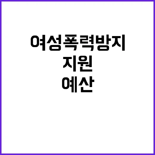 여성폭력방지 예산 …