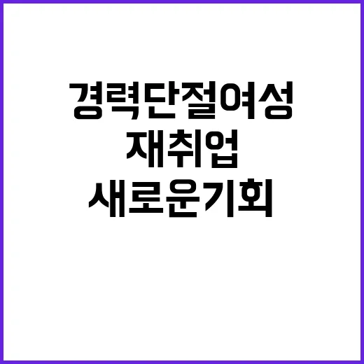 경력단절여성 재취업…