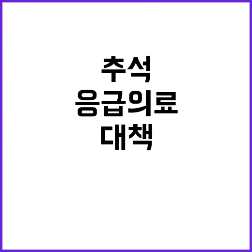 추석 안전 정부의 긴급 응급의료 대책 공개!