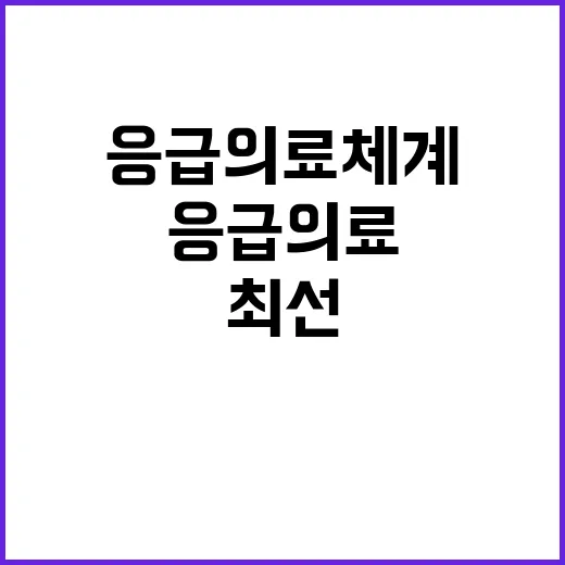 응급의료체계 소방청…