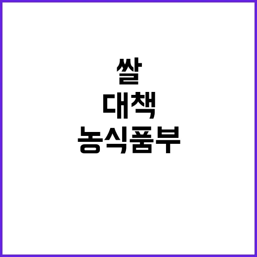 쌀 산업 대책 농식품부의 숨겨진 계획 공개!