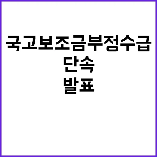 국고보조금 부정수급 단속 새로운 대책 발표!