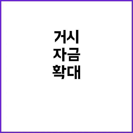 거시건전성 자금투입 확대 비결 공개! 어서 클릭해!