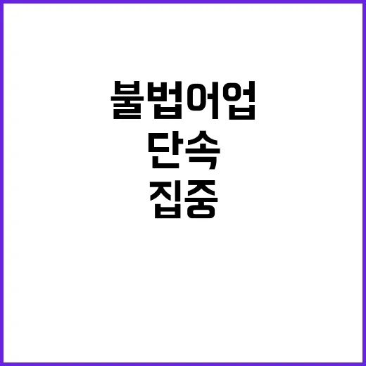 불법어업 단속 드론…