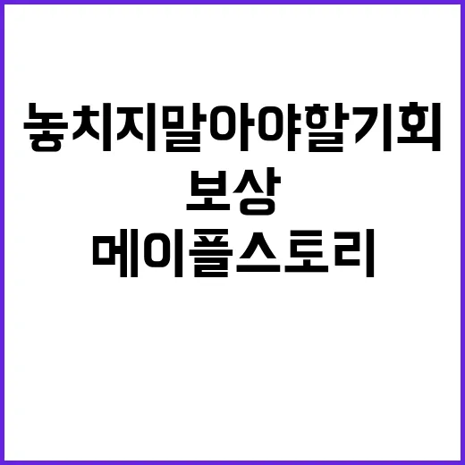 아이템 보상 메이플…