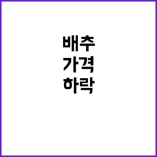 배추 수입 4000톤 가격 하락의 신호탄?