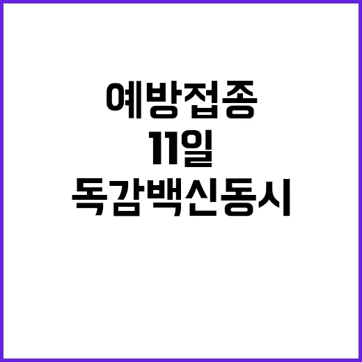 코로나19 예방접종 11일 독감 백신 동시 권장