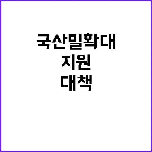 국산 밀 확대 정부 지원 대책 공개!