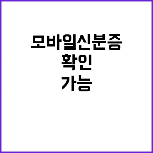 모바일신분증 해외 …