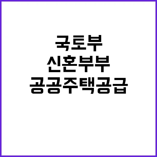 신혼부부 공공주택 공급 국토부의 뜨거운 의지!