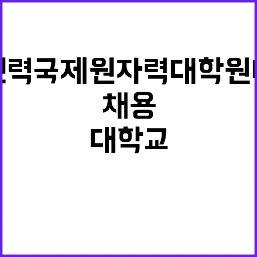 한국전력국제원자력대…