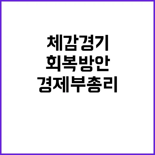 경제부총리 “체감경…