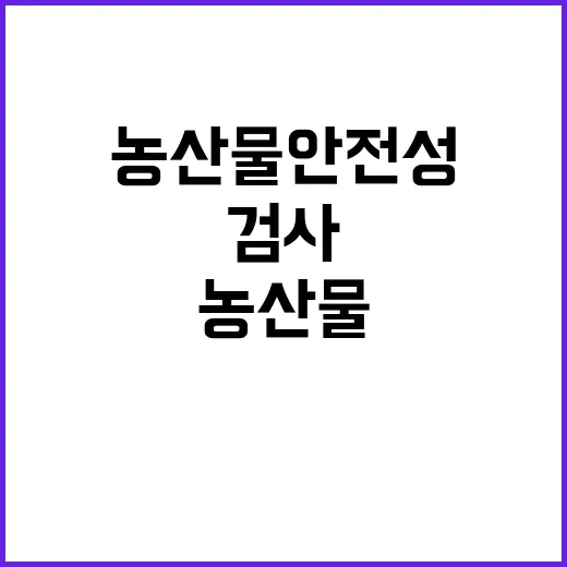 농산물 안전성 집중 검사가 21일부터 시작됩니다!