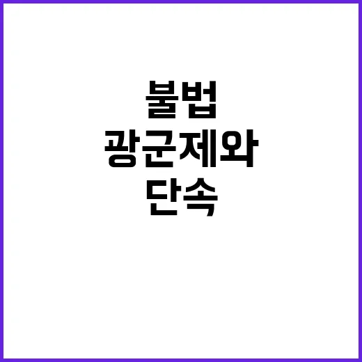 불법수입 단속 광군…