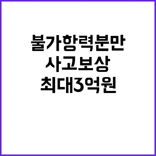 불가항력 분만 사고…