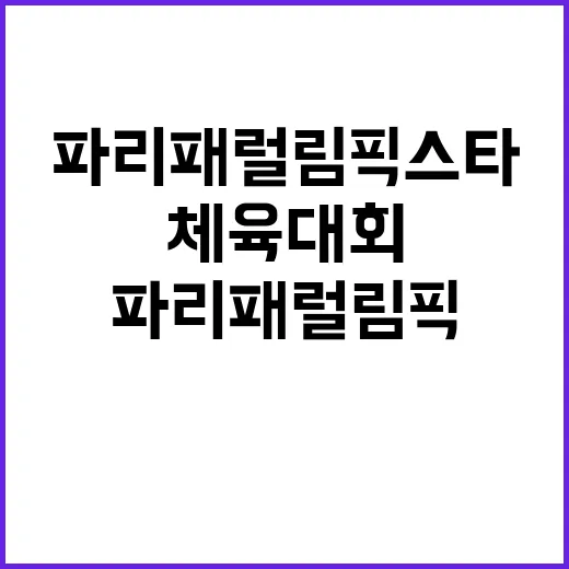 체육대회 파리 패럴림픽 스타들의 뜨거운 이야기는?