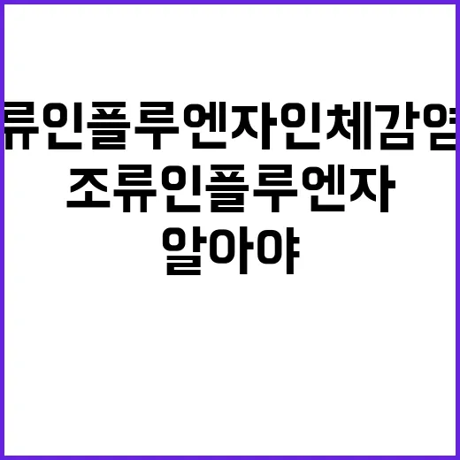 조류인플루엔자 인체…