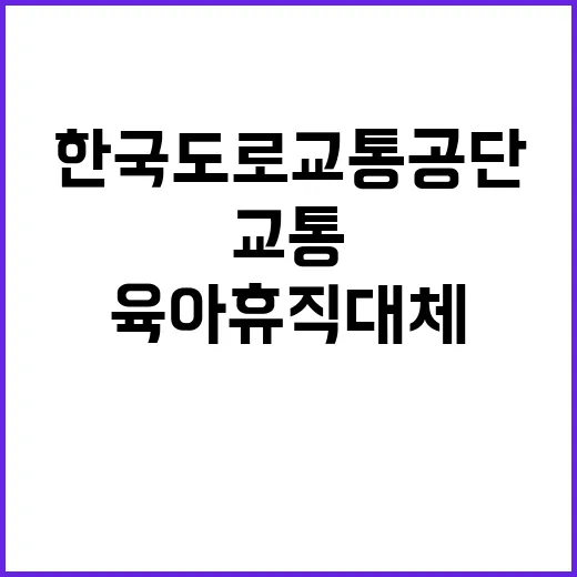 한국도로교통공단 비…