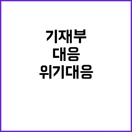 위기대응 기재부의 …