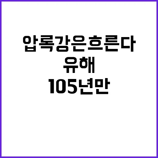 ‘압록강은 흐른다’ 유해 105년 만의 귀환!