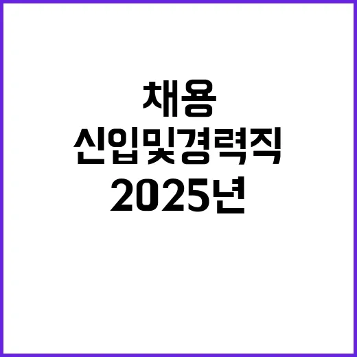 2025년 상반기 신입직원 및 경력직원 채용 공고