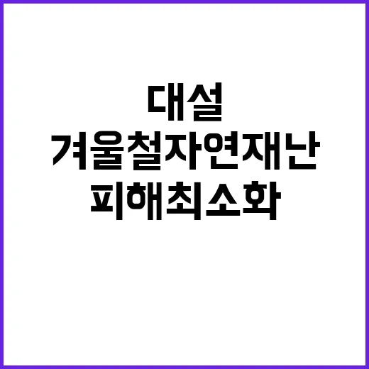 겨울철 자연재난 대설 피해 최소화 방법 공개!