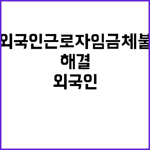 외국인근로자 임금체…