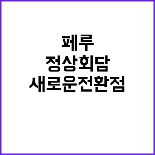 정상회담 한·페루 …