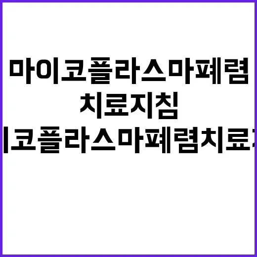 마이코플라스마 폐렴 치료지침 현장에서 사용 중!