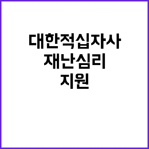 대한적십자사 정규직…